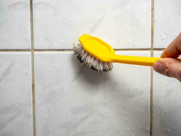 Mold Removal Process in Iona, ID