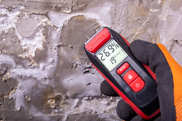Best Attic Mold Removal  in Iona, ID